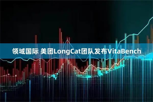 领域国际 美团LongCat团队发布VitaBench