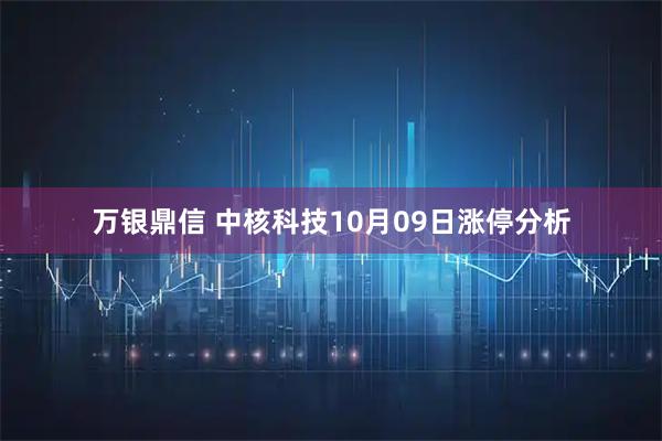 万银鼎信 中核科技10月09日涨停分析
