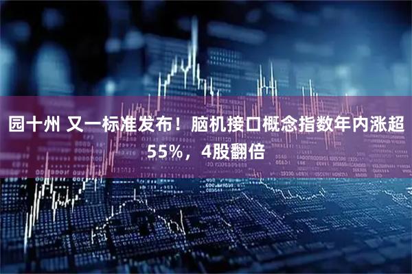 园十州 又一标准发布!脑机接口概念指数年内涨超55%,4股翻倍