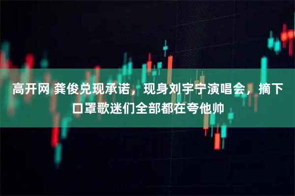 高开网 龚俊兑现承诺，现身刘宇宁演唱会，摘下口罩歌迷们全部都在夸他帅