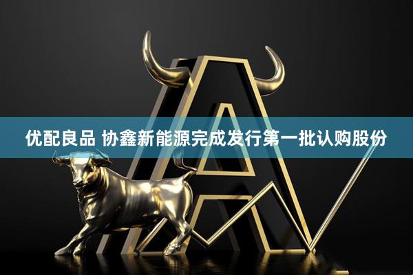 优配良品 协鑫新能源完成发行第一批认购股份